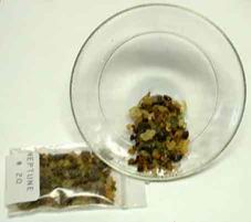 Encens - NEPTUNE - Incense