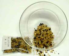 Encens - PLUTON - Incense