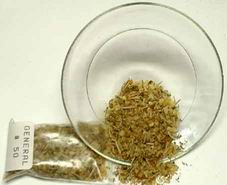 Encens G�N�RAL